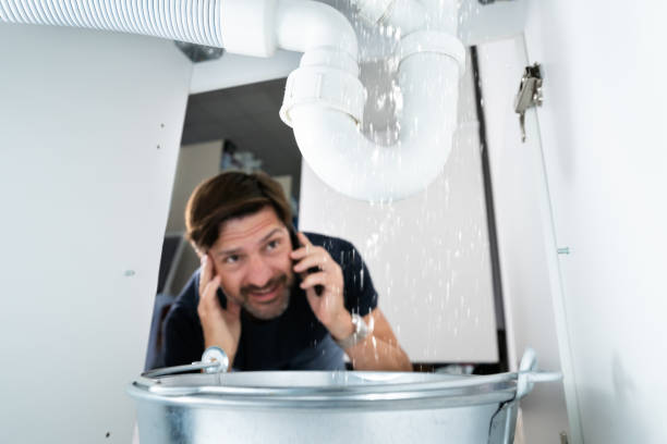 Best Affordable Plumbing Services  in Diaz, AR