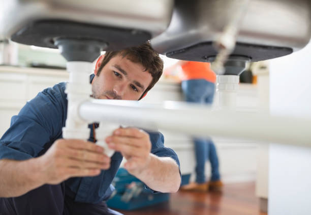 Best Clogged Drain Plumber  in Diaz, AR